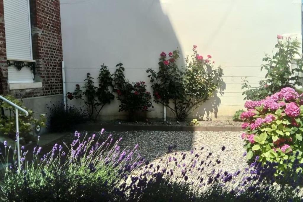 Appartement Calme A 300 M De La Plage-Centre Ville - Quiet Appartment 300 M Near City And Beach Mers-les-Bains Exterior foto